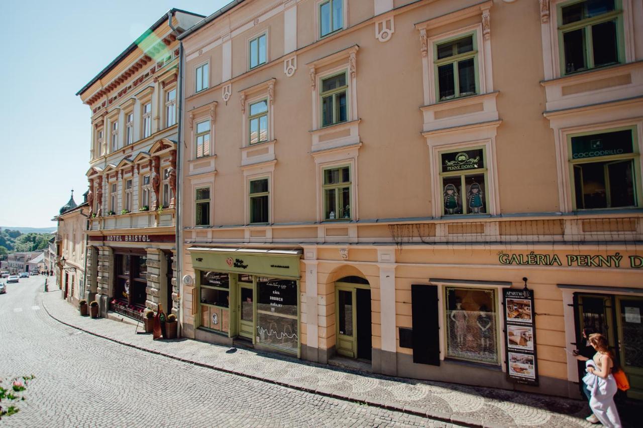 Priestranny Apartman Moja Marina V Srdci Stiavnice Банська Штявниця Екстер'єр фото